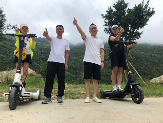 25km/H Electric Balance Scooter