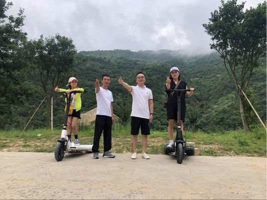 25km/H Electric Balance Scooter