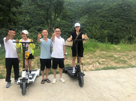 25km/H Electric Balance Scooter
