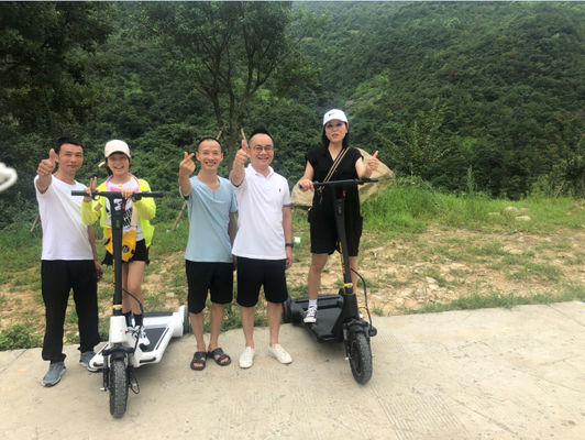 25km/H Electric Balance Scooter