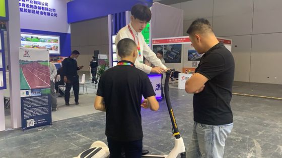36V Electric E Scooter