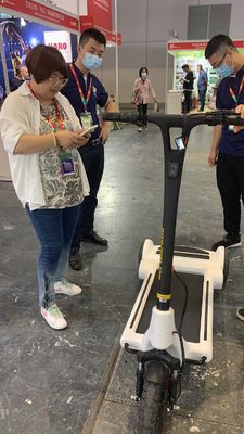 36V Electric E Scooter